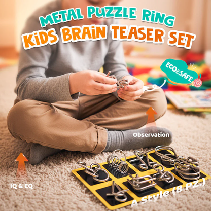 Metal Montessori Puzzle Solving