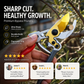🌿50% OFF NOW! Versatile SK5 Heavy-Duty Pruning Shears – Sharp Garden Branch Trimmers, Labor-Saving Plant Clippers for Trees, Bushes, Flowers & Fruit Picking