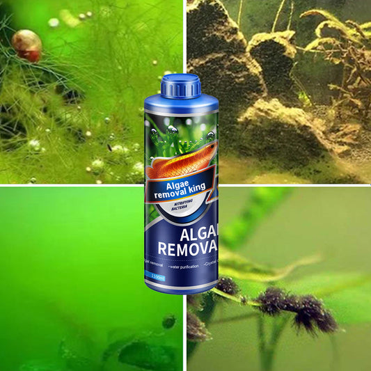 🌱【Algae King】Crazy Aquatic Weed Algae Remover