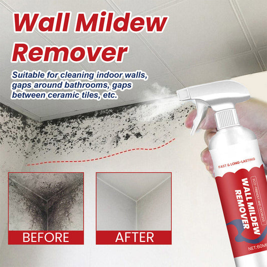 Powerful & Long-Lasting Wall Mold Remover