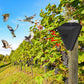 🌾50% OFF NOW! Waterproof Solar Outdoor Bird Repeller‑Timing Ultrasonic Bird Deterrent, Solar‑Powered Bird Scarer for Garden Orchard Crop Protection