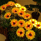 🌻50% OFF NOW! Solar Sunflower Garden Stake Lights – Realistic IP65 Weather‑Resistant Solar Powered Flower Lamp, Decorative Outdoor Landscape Lighting for Yard, Pathway, Patio & Garden Decoration