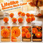 🌼LAST DAY SPECIAL £9.99! 🎃Artificial Marigold Flower LED String Lights – Waterproof 8 Lighting Modes, 20 LEDs Battery Powered, Decor for Halloween, Day Of The Dead Altar, Porch & Indoor Festival Decor