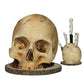 💀Limited Time 50% OFF! 🗡️Creative Skull Resin Knife Holder, Unique Gothic Kitchen Counter Knife Storage Rack, Spooky Decor Cutlery Organizer