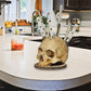 💀Limited Time 50% OFF! 🗡️Creative Skull Resin Knife Holder, Unique Gothic Kitchen Counter Knife Storage Rack, Spooky Decor Cutlery Organizer
