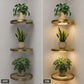 💡50% OFF NOW! Floating Wall Shelf with Built‑in Ambient LED Light‑Golden Round Wall Mounted Display Shelf, Decorative Plant Holder for Living Room Bedroom Home Decor