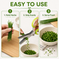 ✂️50% OFF NOW ! ✨5-Blade Stainless Steel Herb Scissors – Fast Slicing Kitchen Shears