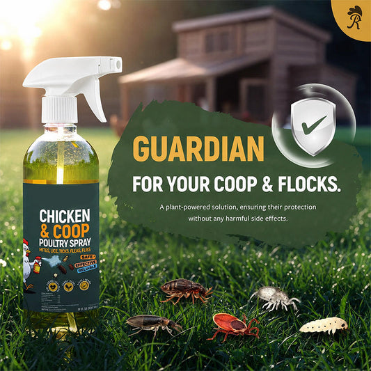 🐔50% OFF NOW! Natural Poultry Coop Cleaning Spray‑Plant-Based Chicken Coop Spray, Repels Mites, Lice, Ticks & Fleas, Safe for Chickens and Poultry Housing