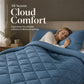 🛏️50% OFF NOW! 3-Piece Quilted Comforter Set with Shams – All Season Cloud Soft Bedding Set, Diamond Quilted Bed Comforter for Bedroom Guest Room