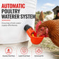 🐔50% OFF NOW! Gravity‑Fed Automatic Chicken Waterer Cups‑ Leak‑Proof Poultry Water Drinking Bowls, Universal Auto Watering System for Chickens, Ducks & Backyard Birds