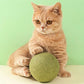 🐱50% OFF NOW! Huge 10cm Natural Catnip Ball, Giant Cat Chew Toy, Interactive Mint Toy for Indoor Cats & Kittens, Stress Relief & Teeth Cleaning