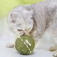 🐱50% OFF NOW! Huge 10cm Natural Catnip Ball, Giant Cat Chew Toy, Interactive Mint Toy for Indoor Cats & Kittens, Stress Relief & Teeth Cleaning