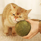 🐱50% OFF NOW! Huge 10cm Natural Catnip Ball, Giant Cat Chew Toy, Interactive Mint Toy for Indoor Cats & Kittens, Stress Relief & Teeth Cleaning