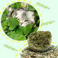 🐱50% OFF NOW! Huge 10cm Natural Catnip Ball, Giant Cat Chew Toy, Interactive Mint Toy for Indoor Cats & Kittens, Stress Relief & Teeth Cleaning