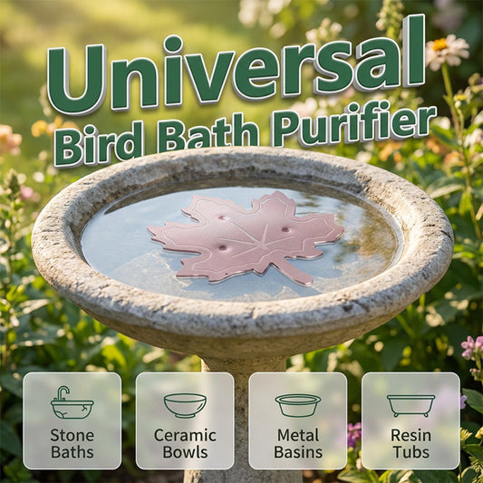 🍃50% OFF NOW! Universal Fit Bird Bath Purifier‑Maple‑Leaf Shape Water Cleaner, Keep Birdbath Water Fresh for Stone, Ceramic, Metal & Resin Garden Bird Baths