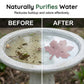 🍃50% OFF NOW! Universal Fit Bird Bath Purifier‑Maple‑Leaf Shape Water Cleaner, Keep Birdbath Water Fresh for Stone, Ceramic, Metal & Resin Garden Bird Baths