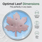 🍃50% OFF NOW! Universal Fit Bird Bath Purifier‑Maple‑Leaf Shape Water Cleaner, Keep Birdbath Water Fresh for Stone, Ceramic, Metal & Resin Garden Bird Baths