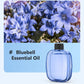 🎁Gift Idea Hot Sale 50% OFF🌸Automatic Aromatherapy Diffuser