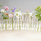 💐50% OFF NOW! Hinged Test Tube Flower Vase – Clear Glass Connectable Propagation Station for Home Table Decor